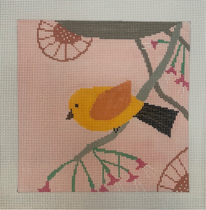 Bird Square - Canary