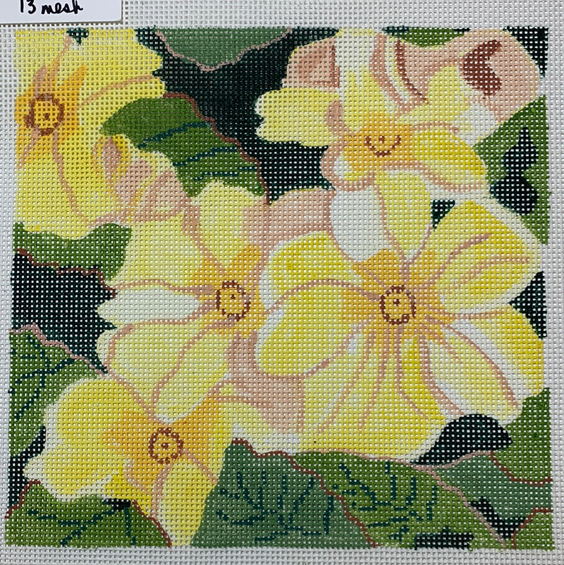 Summer Palette - Primrose