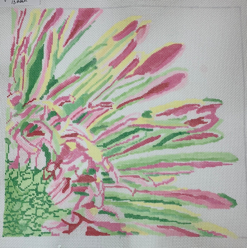 Pink and Green Fringed  Mum