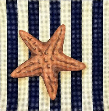 Starfish Square/Stripes